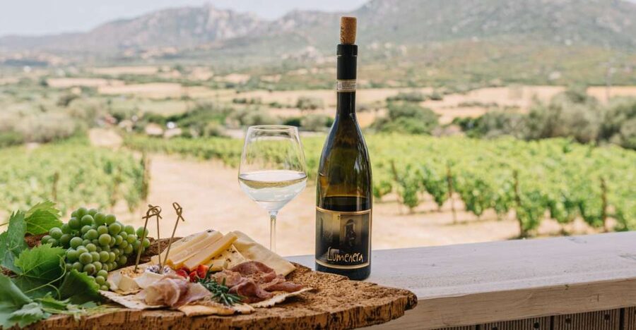 Olbia: Gallura Winery Guided Tour with Tasting - A Gallura winery with a family feel
