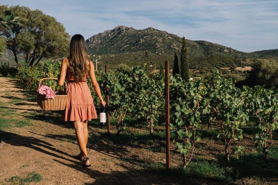 Olbia: Gallura Winery Guided Tour with Tasting - The rescue animals are part of the charm