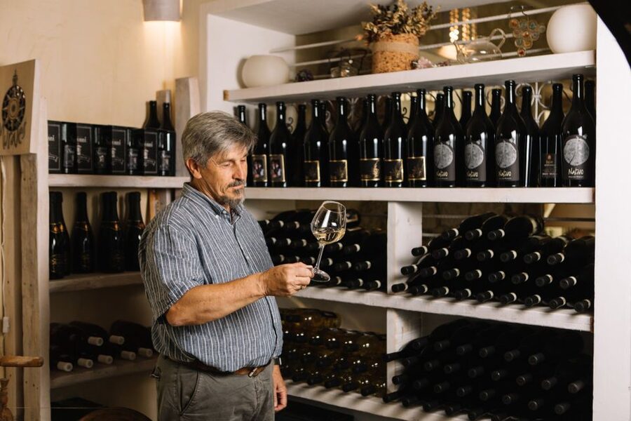 Olbia: Gallura Winery Guided Tour with Tasting - How much value do you get for $61?