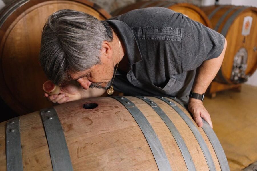 Olbia: Gallura Winery Guided Tour with Tasting - What I would plan before booking
