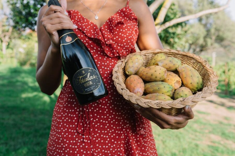 Olbia: Gallura Winery Guided Tour with Tasting - Walking through the vines and production rooms