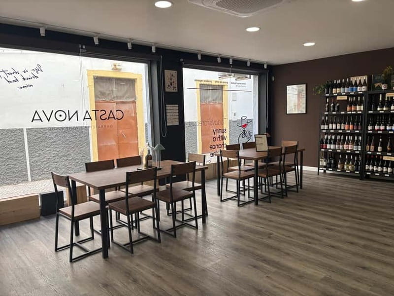 Olhão: Portugal Wine Tasting - Who should book this experience