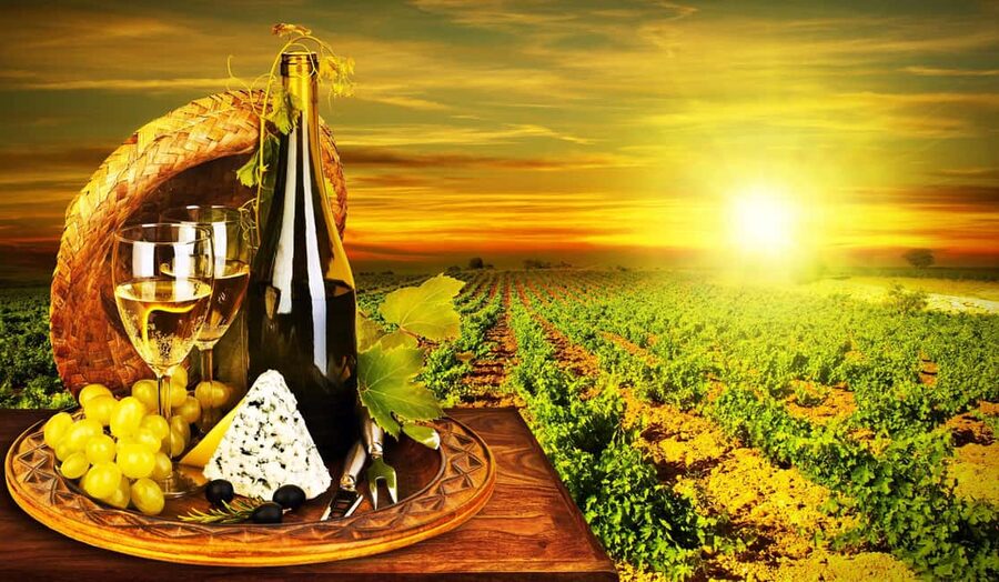 Organic Wine Tasting with Saint paul Half Day Tour from Nice - The tasting pace and what is not included