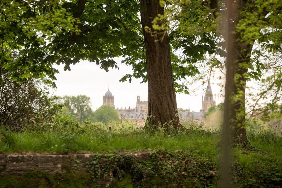 Oxford: Evening Sightseeing River Cruise with a Cocktail - What the cocktail adds to the evening