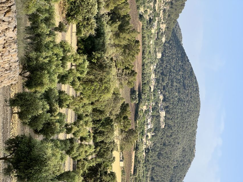 Palma: Orange Farm, Olive Mill, & Winery Tour with Tastings - Key points at a glance