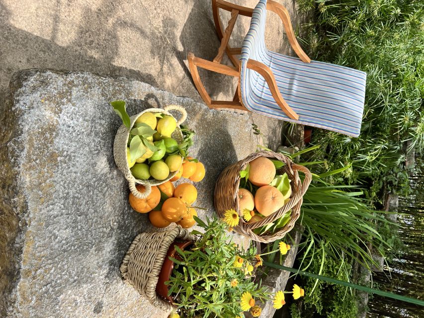 Palma: Orange Farm, Olive Mill, & Winery Tour with Tastings - A food-focused day beyond Palma