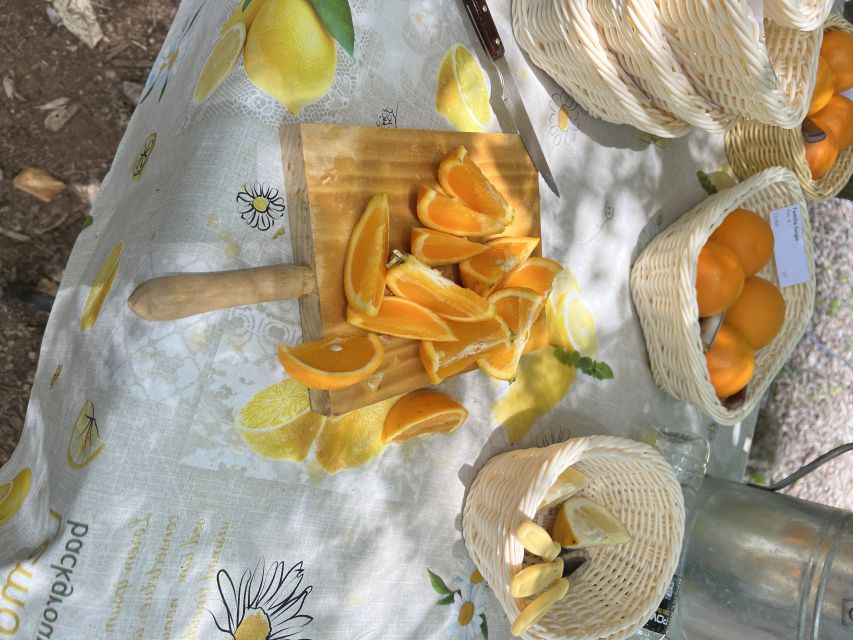 Palma: Orange Farm, Olive Mill, & Winery Tour with Tastings - Who should book this Mallorca day trip