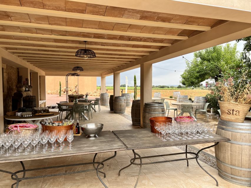 Palma: Orange Farm, Olive Mill, & Winery Tour with Tastings - A few practical ways to enjoy it more