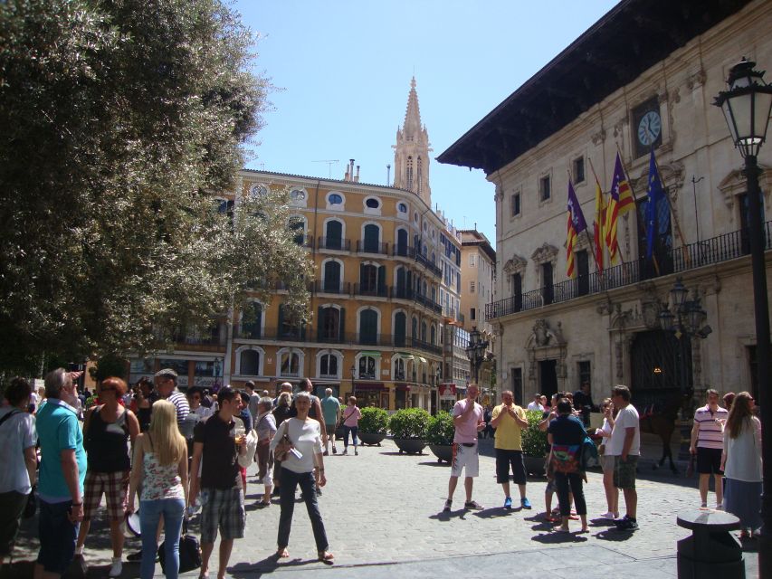 Palma Tour with Wine and Tapas Tasting - What $194 buys you in three hours