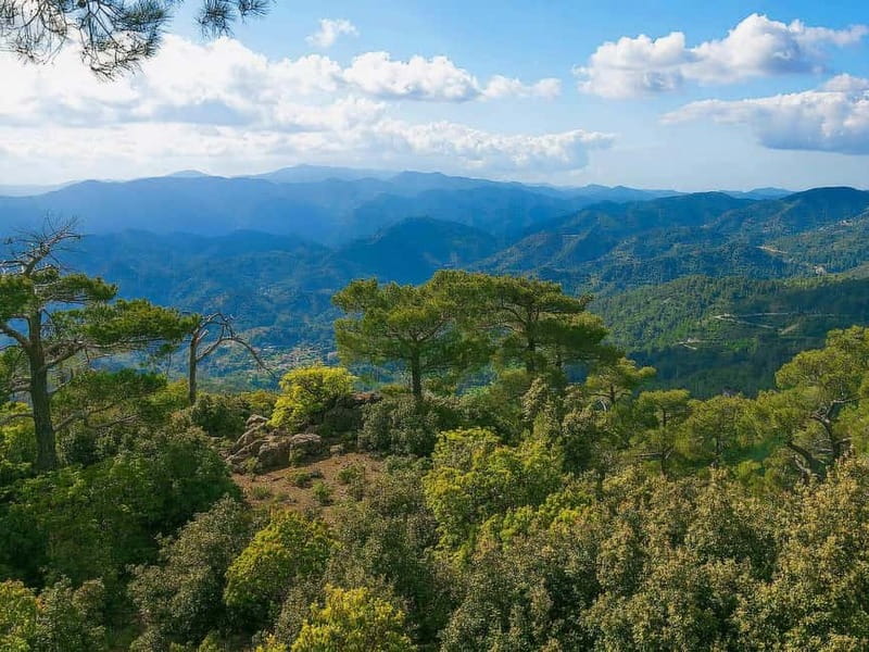 Paphos: Scenic Troodos Mountains Tour with Wine Tasting - Key points at a glance