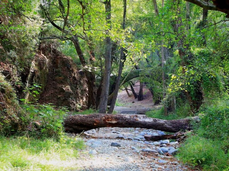 Paphos: Scenic Troodos Mountains Tour with Wine Tasting - Leaving Paphos for the Troodos Mountains