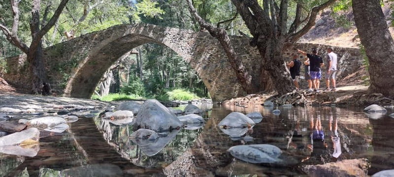 Paphos - Troodos Mountains 4x4 Tour with Free Wine Tasting - Guides, group size, and the tone of the day