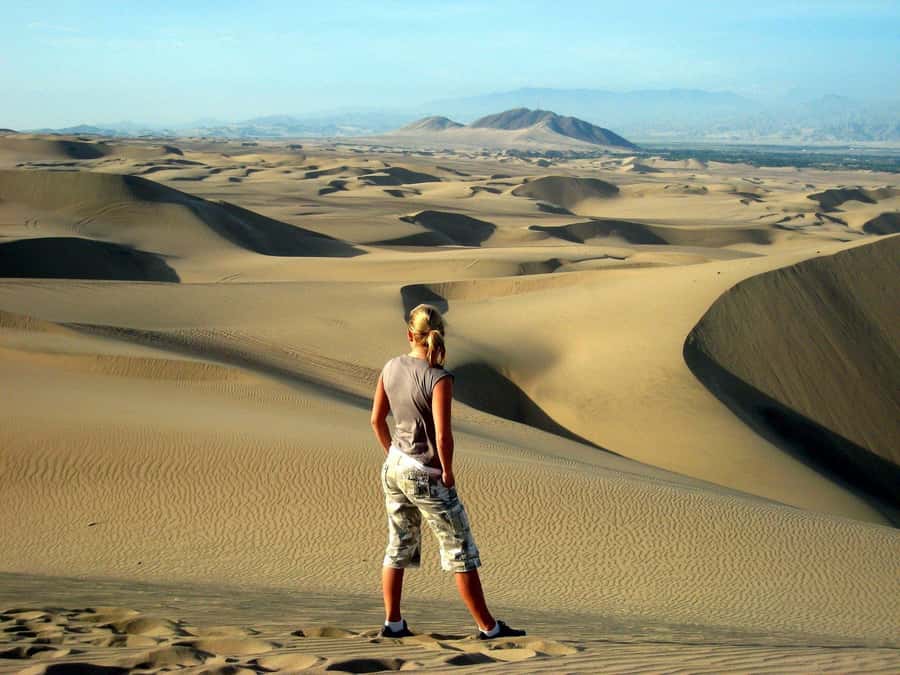 Paracas or Pisco: Private Huacachina Oasis Tour & Buggy Ride - From Paracas to Ica, with pisco along the way