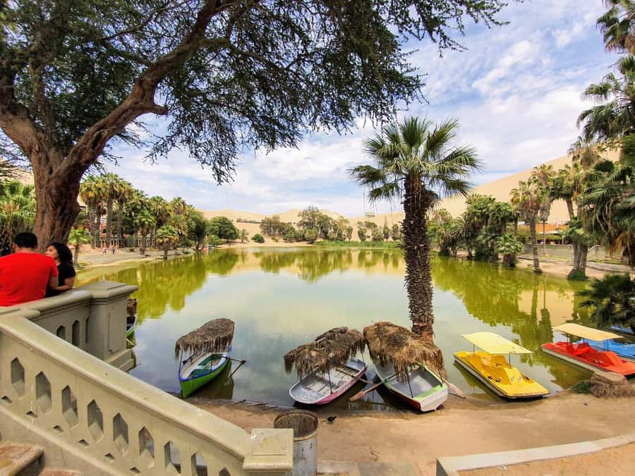 Paracas or Pisco: Private Huacachina Oasis Tour & Buggy Ride - Guide communication and the pace of the day