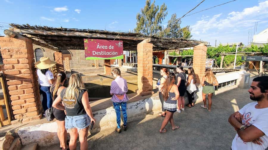 Paracas or Pisco: Private Huacachina Oasis Tour & Buggy Ride - Reaching Huacachina Oasis near Ica