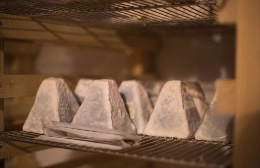 Paris: Cheese and Wine Class in a 17th Century Cellar - A cheese lesson beneath Île Saint-Louis