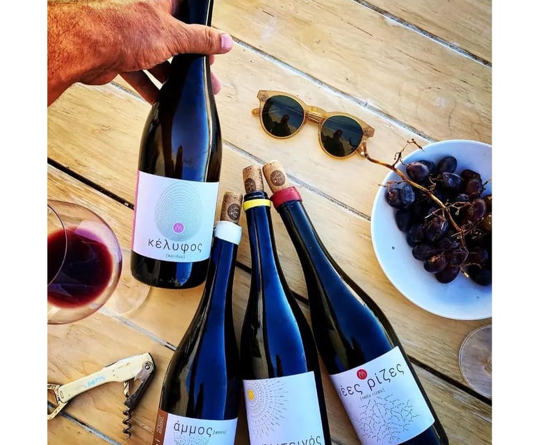 Paros: Wine tasting at Local Winery - Who should book this experience?