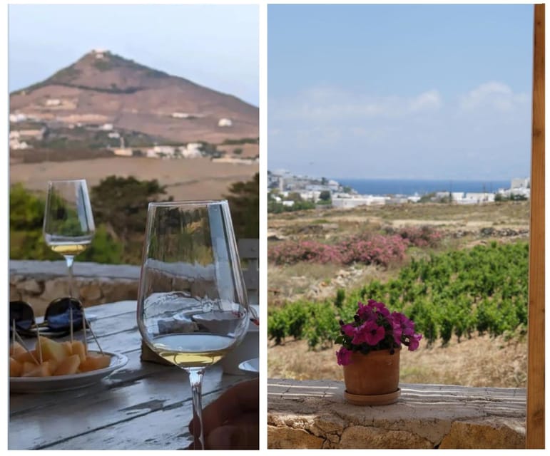 Paros: Wine tasting at Local Winery - Should you book Myrsini Winery?