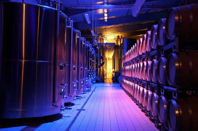 Passy-Grigny: Chocolate and Champagne Tasting Tour - Key points to know before booking