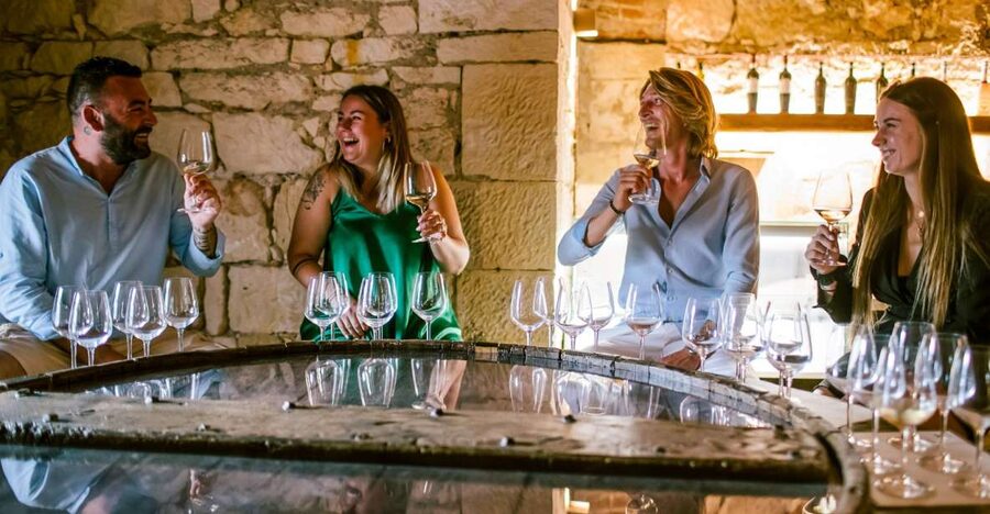 Pastrengo: Lake Garda Wine & Food Tasting in Historic Fort - Six organic wines, from white to red