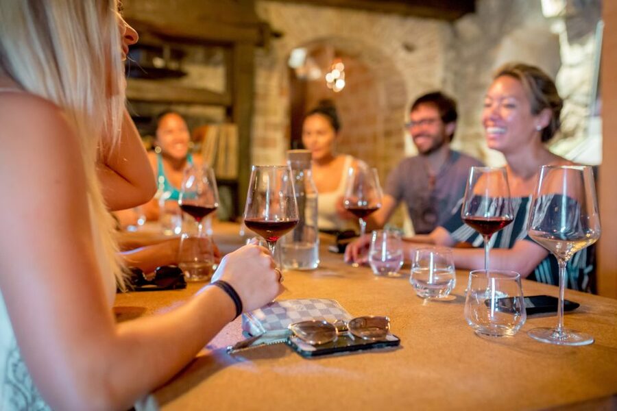 Pelješac Full-Day Wine and Food Tour from Dubrovnik - Why this Pelješac day trip feels different