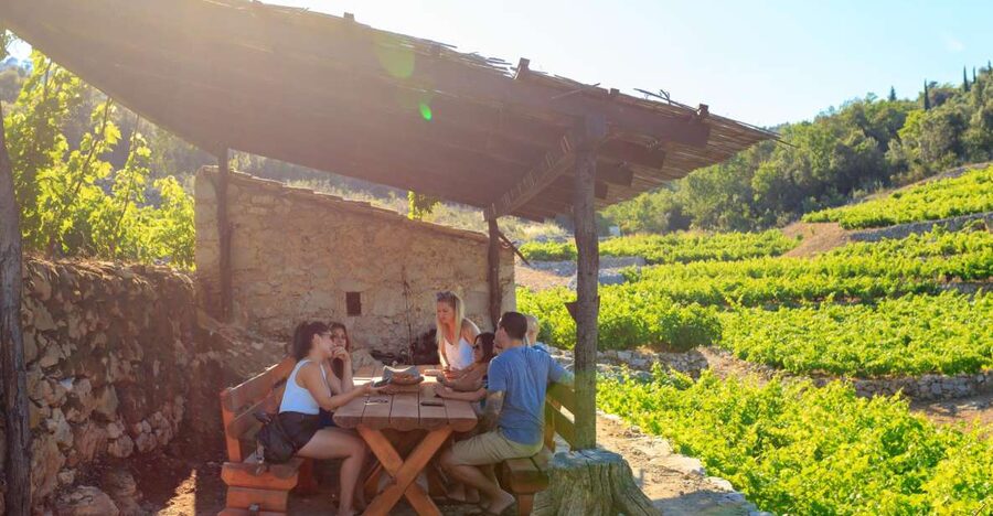 Pelješac Full-Day Wine and Food Tour from Dubrovnik - Ston, its walls, and the old salt works