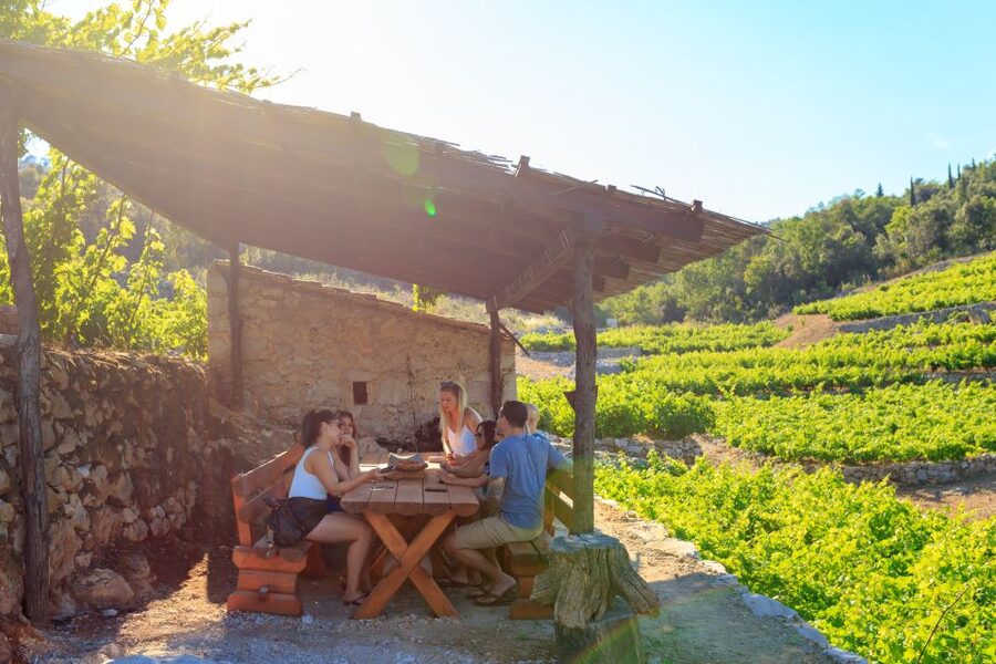 Pelješac Full-Day Wine and Food Tour from Dubrovnik - The drive from Dubrovnik to Ston