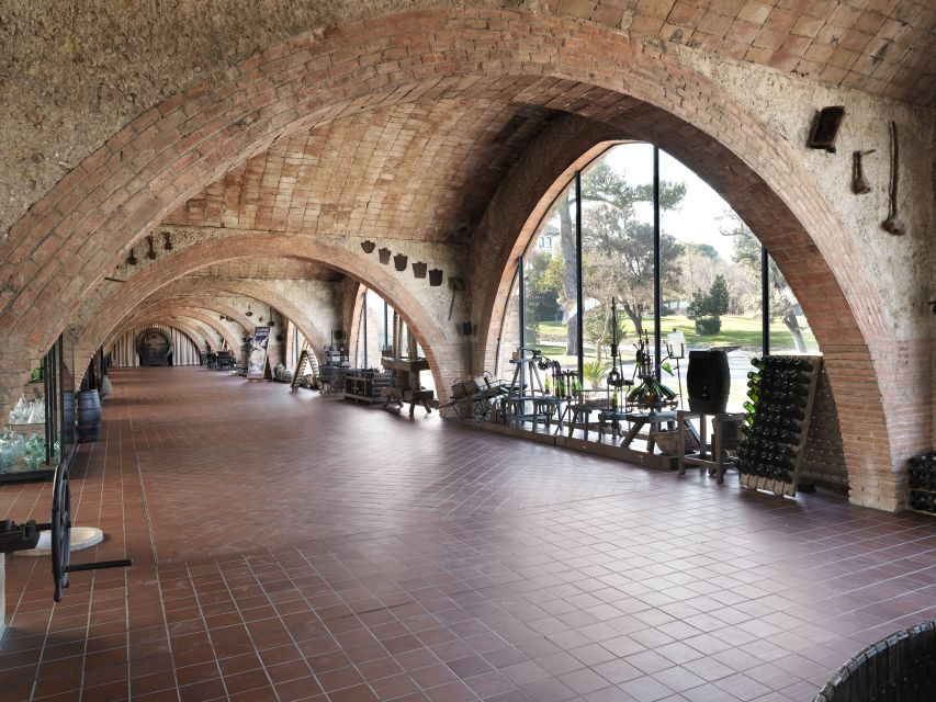 Penedès: Discovery Tour with Cava Tasting - Who should book this Codorníu visit?
