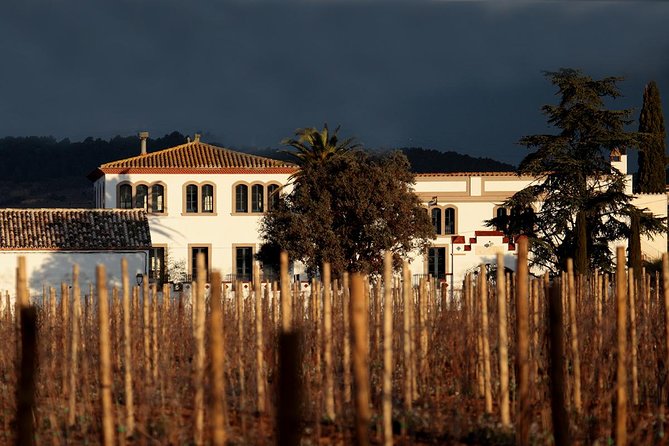 Penedes Wine & Cava Tasting & 4WD Vineyards Tour from Barcelona - How much time and money does it take?