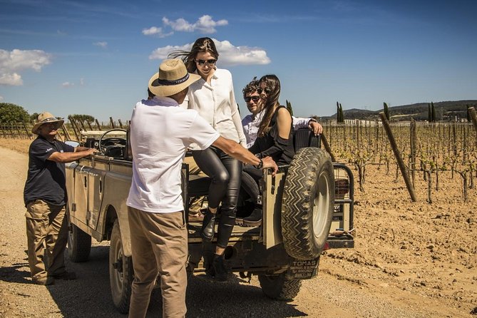 Penedes Wine & Cava Tasting & 4WD Vineyards Tour from Barcelona - Practical comfort advice for the day