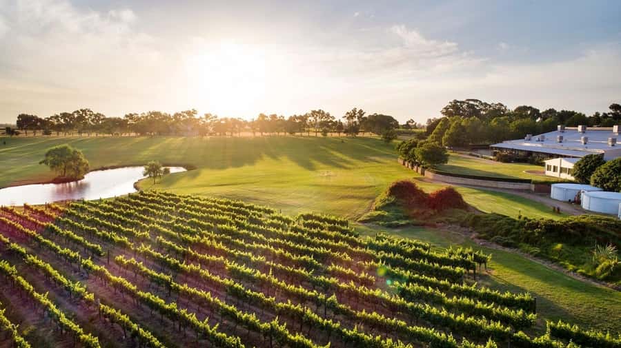 Perth: Full Day Swan Valley Cruise & Wine Tasting With Lunch - Wine tasting before Swan Valley