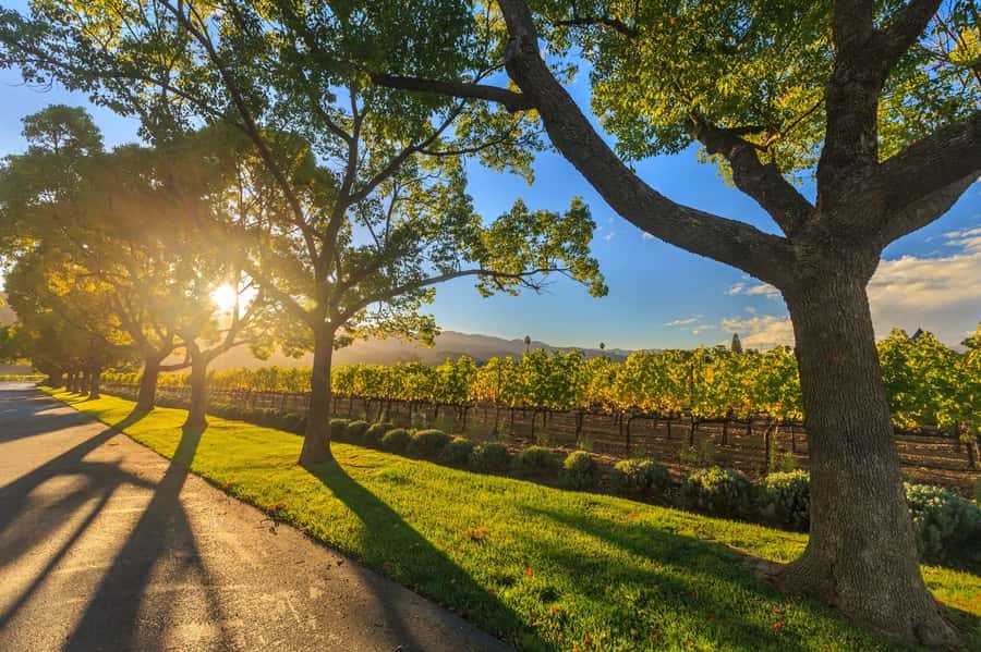 Perth VIP Swan Valley Wine Tour - Premium Small Group Tour - Key points at a glance
