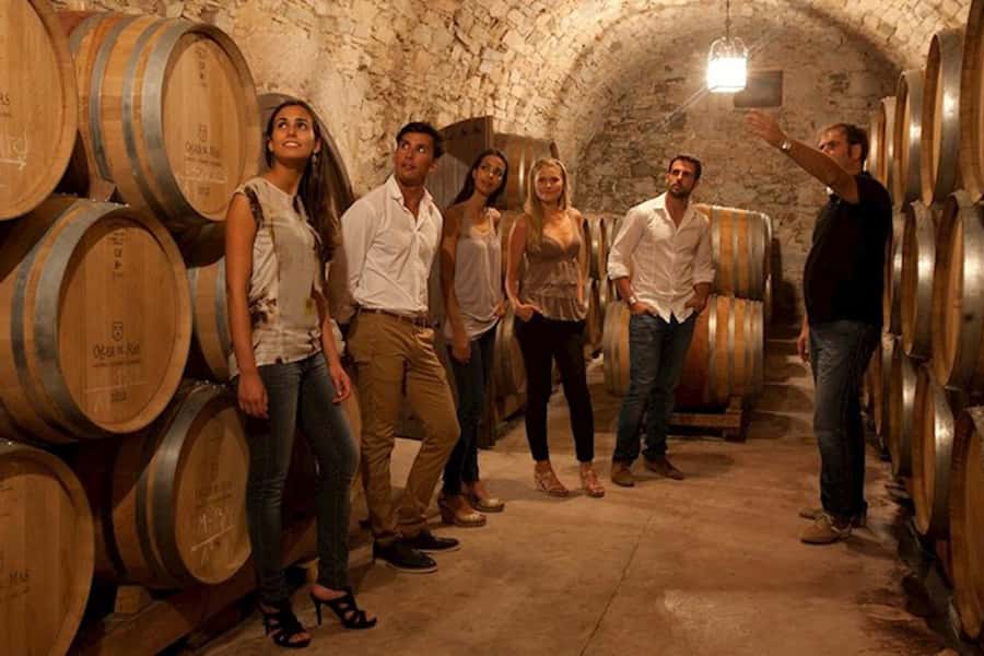 Perth VIP Swan Valley Wine Tour - Premium Small Group Tour - Chocolate and gourmet food for the final stop