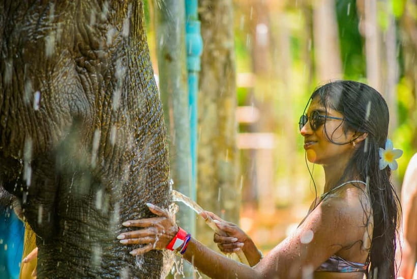 Phuket: Happy Hour Feed and Rain Shower with Elephant - What the Lily Elephant Camp experience is really about
