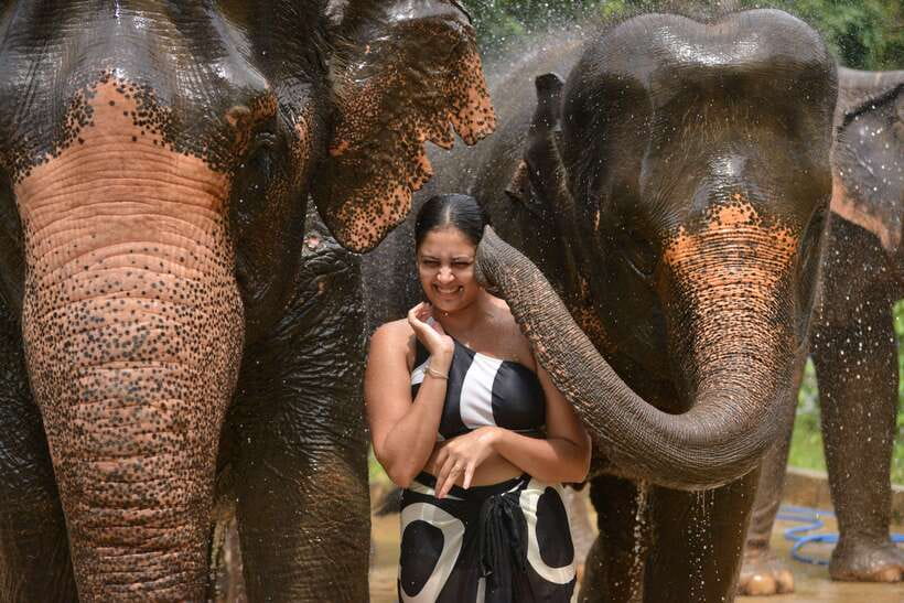 Phuket: Happy Hour Feed and Rain Shower with Elephant - The rain shower and what it does not include