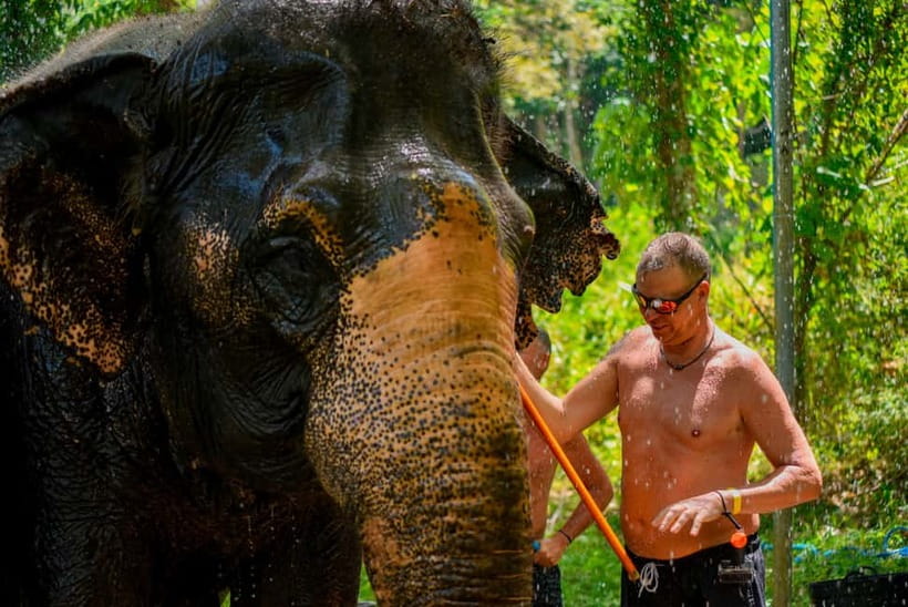 Phuket: Happy Hour Feed and Rain Shower with Elephant - A short program with a clear scope