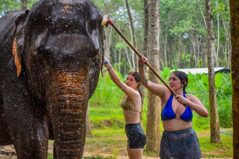 Phuket: Happy Hour Feed and Rain Shower with Elephant - What is included for $37