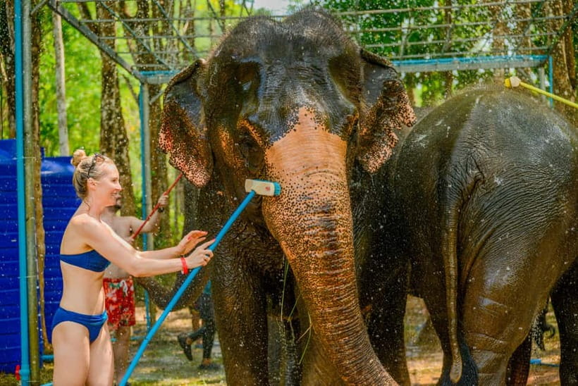 Phuket: Happy Hour Feed and Rain Shower with Elephant - The ethical question: what kind of elephant contact feels right?