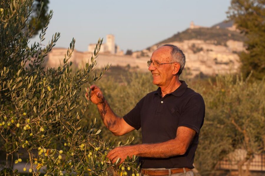 Pic nic Deluxe Assisi and wine tasting 5 wines - FAQ