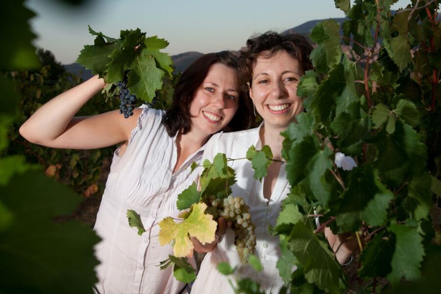Pic nic Deluxe Assisi and wine tasting 5 wines - Five wines and a clear introduction to Umbrian wine