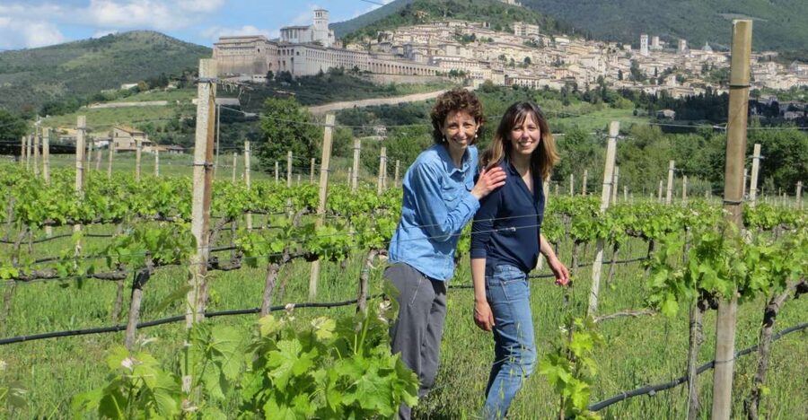 Pic nic Deluxe Assisi and wine tasting 5 wines - A picnic of Umbrian specialties
