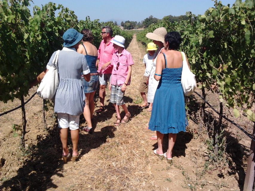 Pic nic Deluxe Assisi and wine tasting 5 wines - Practical details before you go