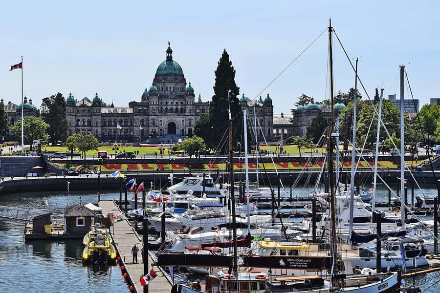 Pickle Pub Crawl: Ferry Rides and Appetizers - The guide can make or break the evening