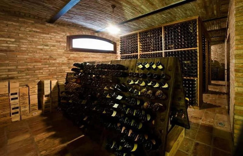 Piedmont: Winery Tour, Taste Barolo, Barbaresco & Local Food - What the family setting adds