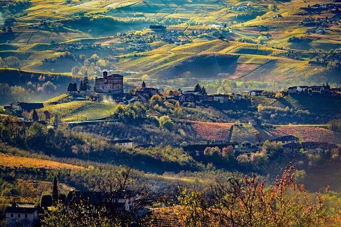Piedmont Winery Tour: Taste Barolo, Barbaresco & Traditional Food - Who will enjoy this Sobrero Vini visit
