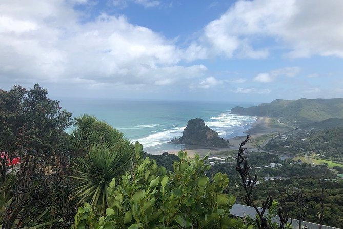 Piha Waitakere Rainforest Wine Tour from Auckland - Karekare Falls and the Waitakere rainforest