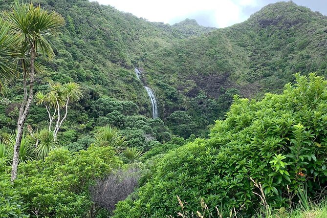Piha Waitakere Rainforest Wine Tour from Auckland - A second tasting at Westbrook Winery