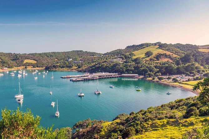 Piha Waitakere Rainforest Wine Tour from Auckland - Who will enjoy this West Auckland day?