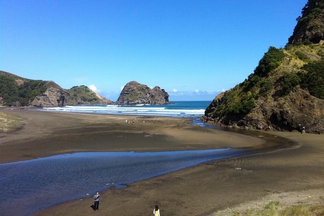 Piha Waitakere Rainforest Wine Tour from Auckland - Lunch at Soljans Estate Winery