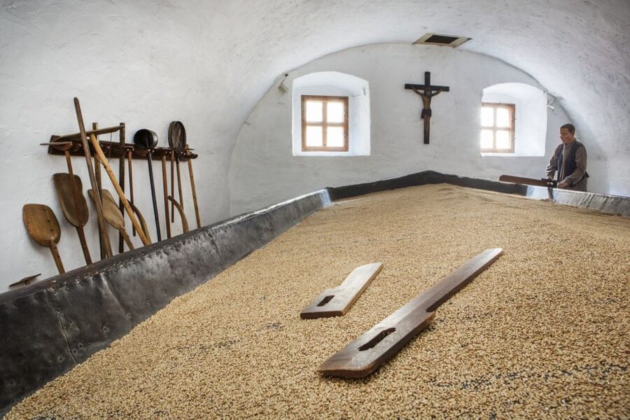 Pilsen: Brewery Museum Entrance with a Glass of Beer - Medieval Cellars and Beer Through a Reed
